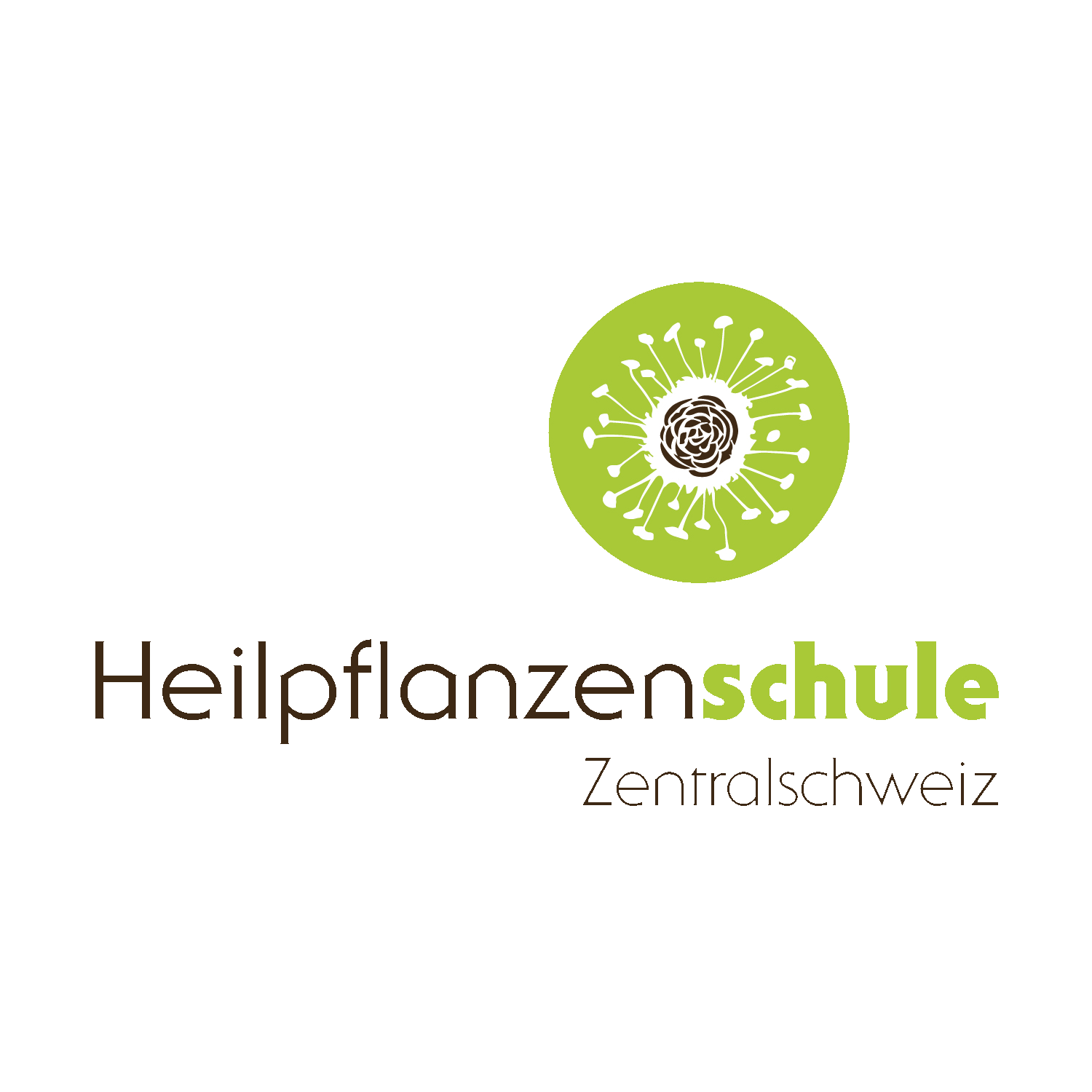 Logo Heilpflanzenschule Zentralschweiz