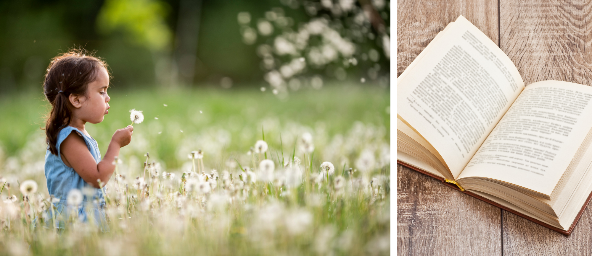 Kind mit verblühtem Löwenzahn, Märchenbuch