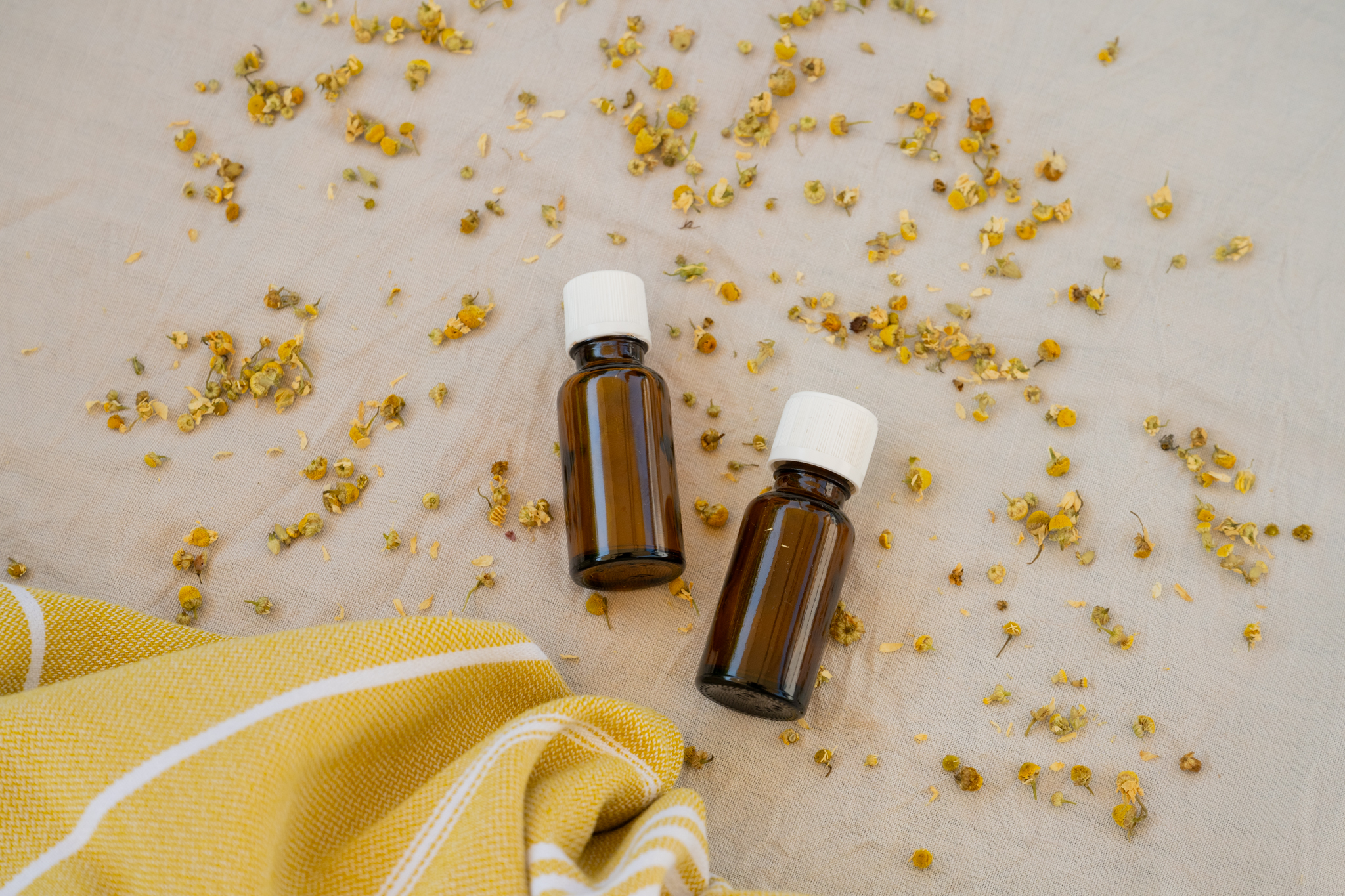 Kamille Zyklus Tagesseminar